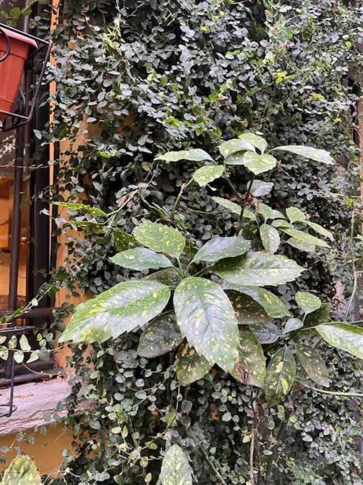 Loft Di Design Nel Cuore Di Milano Zewnętrze zdjęcie